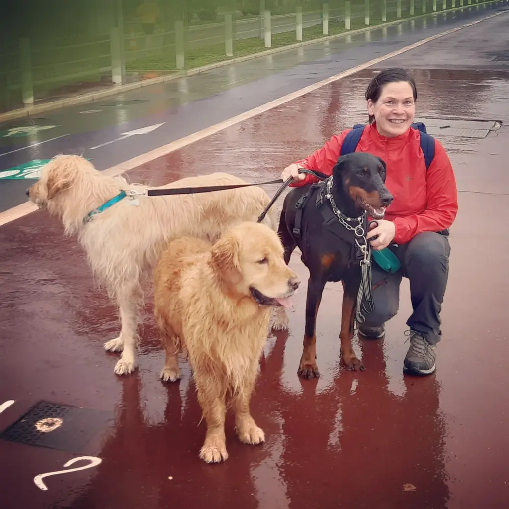 Marie Nygren dog sitter